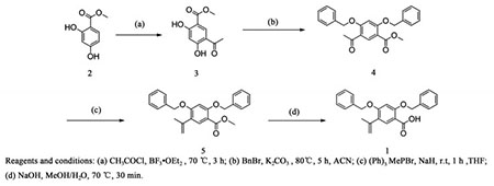 2,4-二苄氧基-5-异丙烯基苯甲酸的合成工艺研究