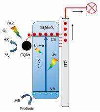 碳量子点修饰Bi<sub>2</sub>MoO<sub>6</sub>复合电极的制备及光电催化性能研究