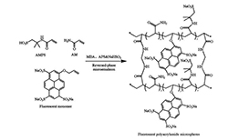 丙烯酰胺共聚物纳米荧光微球的制备与性能