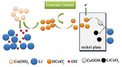 LiCoO<sub>2</sub>材料的电化学制备及回收研究进展