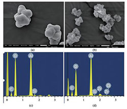 负载型茂金属催化剂用于乙烯淤浆聚合的研究