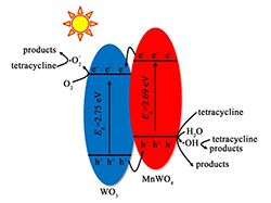 MnWO<sub>4</sub>/WO<sub>3</sub>的制备及其光催化性能的研究