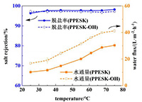 羟基化PPESK复合膜的制备及性能研究