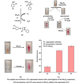 Mn<sub>3</sub>O<sub>4</sub>纳米颗粒的类漆酶活性及其对吖啶橙的降解性能研究